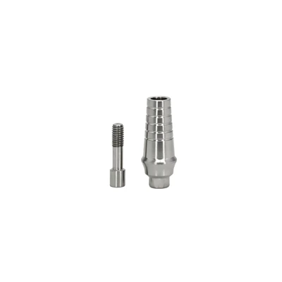 Dental Straight Abutments